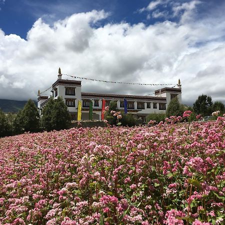Royal Mustang Resort Nāmbo Kültér fotó
