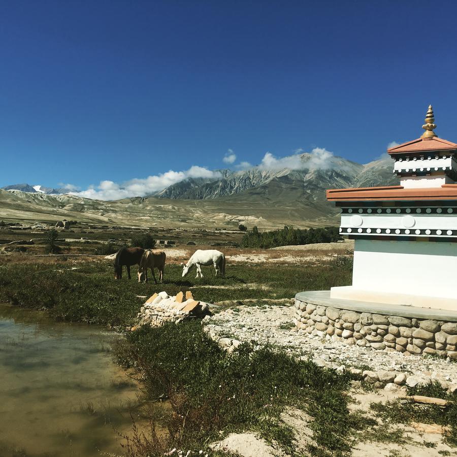 Royal Mustang Resort Nāmbo Kültér fotó